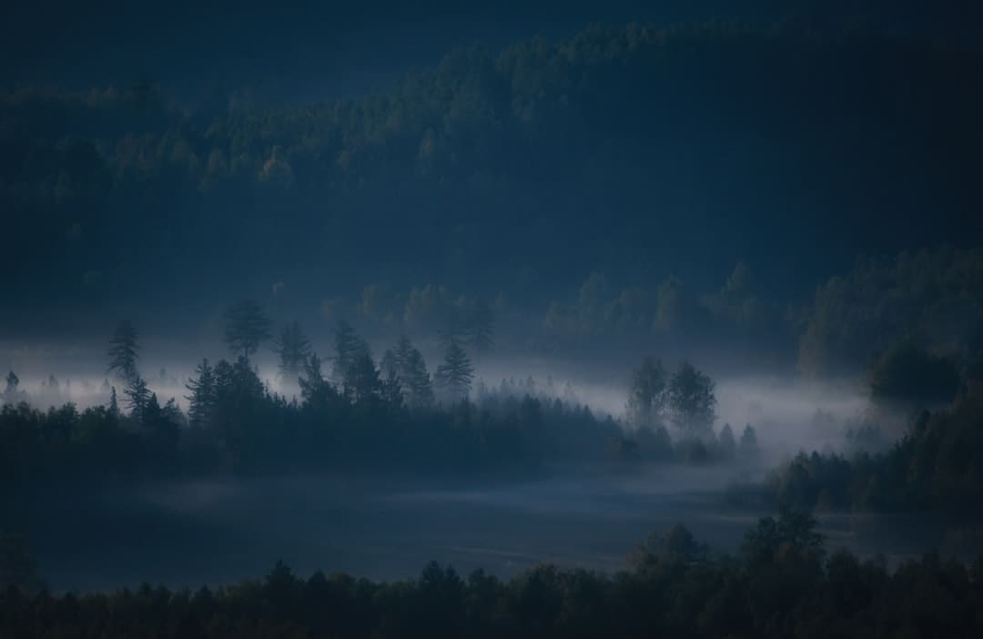 http://www.kcrea.cc/skin/default/image/zoomin.gif